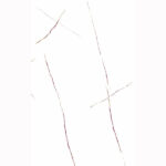 سرامیک ساهارا وایت حافظ سایز Hafez Sahara White 60*120