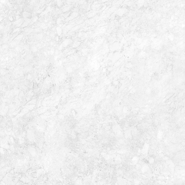 سرامیک تورینو بن حافظ سایز Hafez Torino Bone 120*120