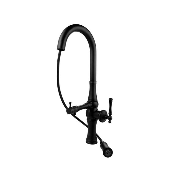 لوانته ظرفشویی شاوری تسویه دار البرز روز Alborzrooz Levante kitchen tap