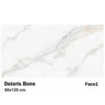 سرامیک مایسا طرح دلاریس بن Maysa Ceramic Delaris Bone 60X120