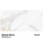 سرامیک مایسا طرح دلاریس بن Maysa Ceramic Delaris Bone 60X120