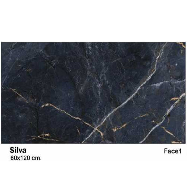 سرامیسرامیک مایسا طرح سیلوا Maysa Ceramic Silva 60X120ک مایسا سوفیا طرح سیلوا Maysa Ceramic Silva 60X120