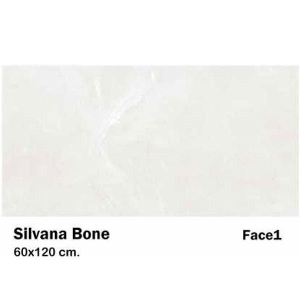 سرامیک مایسا طرح سیلوانا بن Maysa Ceramic Silvana Bone 60X120