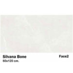 سرامیک مایسا طرح سیلوانا بن Maysa Ceramic Silvana Bone 60X120