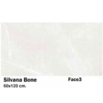 سرامیک مایسا طرح سیلوانا بن Maysa Ceramic Silvana Bone 60X120