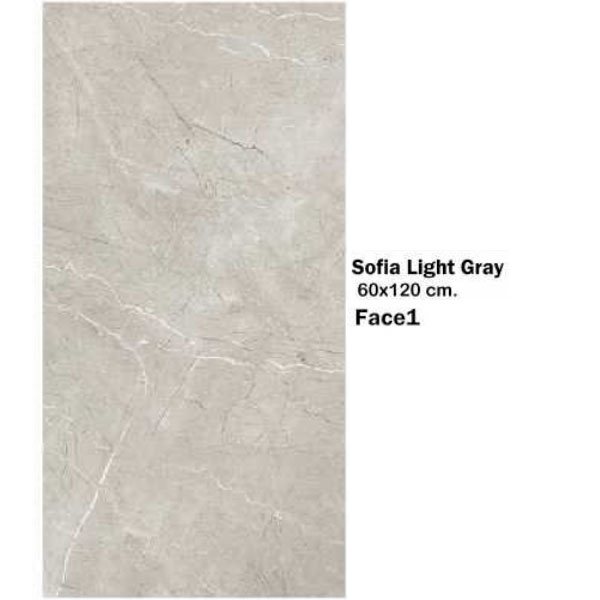 سرامیک مایسا سوفیا لایت گری Maysa Ceramic Sofia Light Gray 60X120