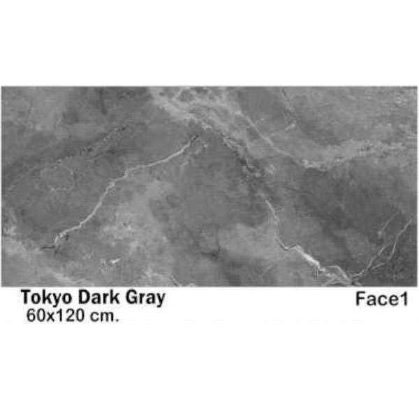 سرامیک مایسا توکیو دارک گری Maysa Ceramic Tokio dark gray 60X120