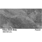 سرامیک مایسا توکیو دارک گری Maysa Ceramic Tokio dark gray 60X120