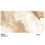 سرامیک مایسا طرح فیونا Maysa Ceramic Fiona 60X120