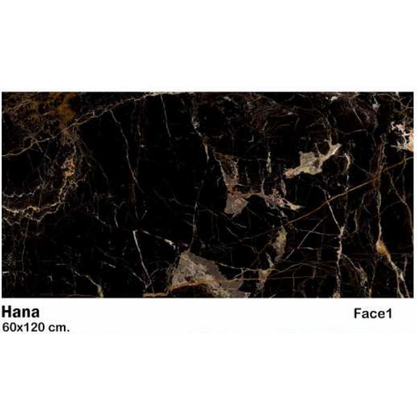 سرامیک مایسا طرح هانا Maysa Ceramic Hana 60X120