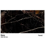 سرامیک مایسا طرح هانا Maysa Ceramic Hana 60X120