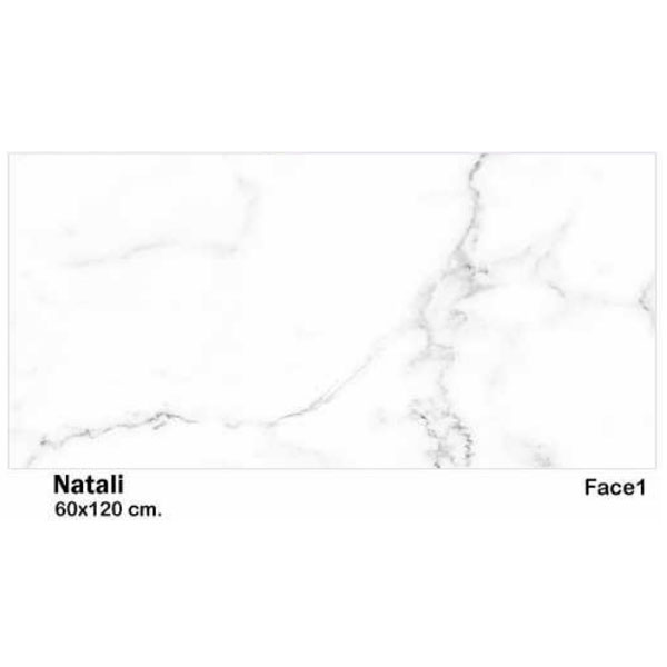 سرامیک مایسا طرح ناتالی Maysa Ceramic Natali 60X120