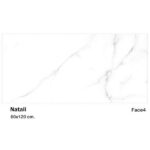 سرامیک مایسا طرح ناتالی Maysa Ceramic Natali 60X120