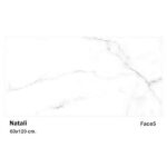 سرامیک مایسا طرح ناتالی Maysa Ceramic Natali 60X120