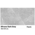 سرامیک مایسا سیلوانا دارک گری Maysa Ceramic silvana dark gray 60X120