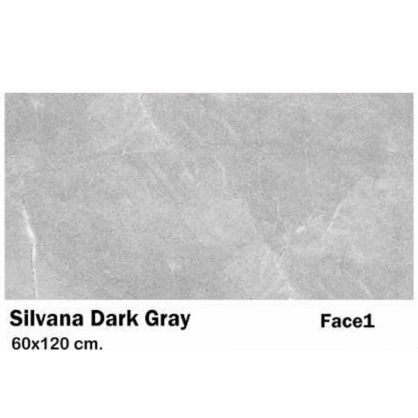 سرامیک مایسا سیلوانا دارک گری Maysa Ceramic silvana dark gray 60X120