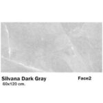 سرامیک مایسا سیلوانا دارک گری Maysa Ceramic silvana dark gray 60X120