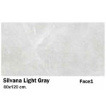 سرامیک مایسا سیلوانا لایت گری Maysa Ceramic Silvana light gray 60X120