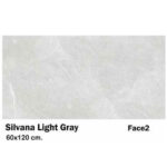 سرامیک مایسا سیلوانا لایت گری Maysa Ceramic Silvana light gray 60X120