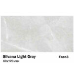 سرامیک مایسا سیلوانا لایت گری Maysa Ceramic Silvana light gray 60X120