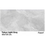سرامیک مایسا توکیو لایت گری Maysa Ceramic Tokio light gray 60X120