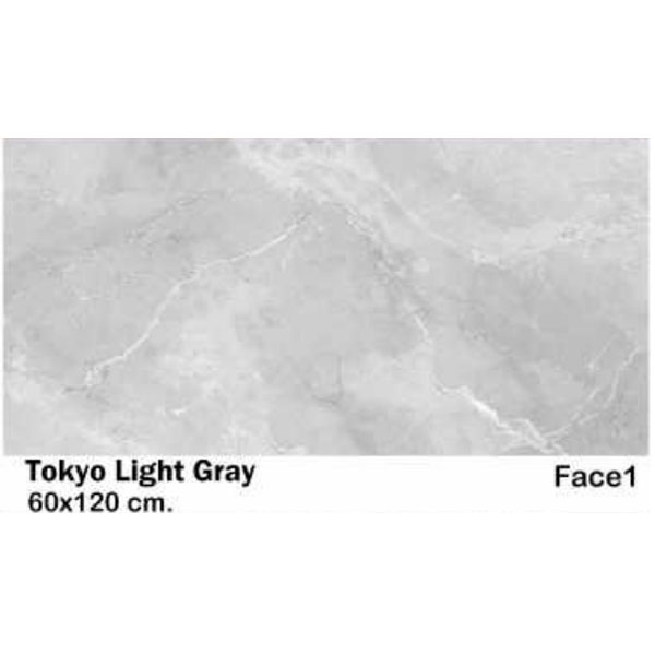 سرامیک مایسا توکیو لایت گری Maysa Ceramic Tokio light gray 60X120