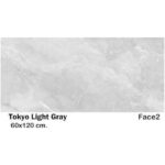 سرامیک مایسا توکیو لایت گری Maysa Ceramic Tokio light gray 60X120
