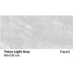 سرامیک مایسا توکیو لایت گری Maysa Ceramic Tokio light gray 60X120