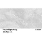 سرامیک مایسا توکیو لایت گری Maysa Ceramic Tokio light gray 60X120