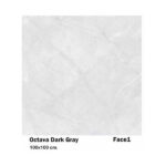 سرامیک مایسا اکتاوا دارک گری Maysa Octava Dark Grey 100X100