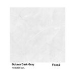 سرامیک مایسا اکتاوا دارک گری Maysa Octava Dark Grey 100X100