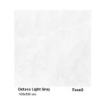 سرامیک مایسا اکتاوا لایت گری Maysa Octava Light Grey 100X100