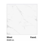 سرامیک مایسا طرح سیلوئت Maysa ceramic Siloet 80X80